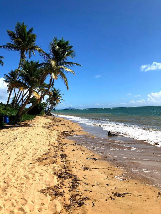 Mariposa Beach House Humacao Bagian luar foto